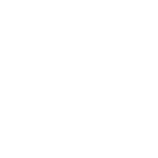 VIP программа